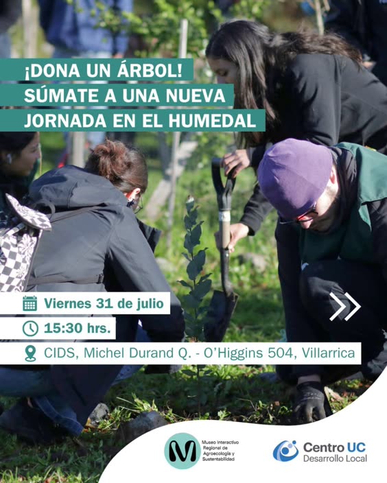 Afiche: Jornada en el Humedal